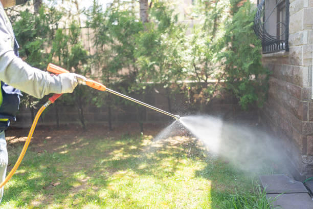 Professional Pest control in Ponce Inlet, FL